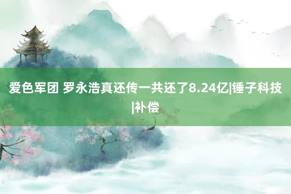 爱色军团 罗永浩真还传一共还了8.24亿|锤子科技|补偿