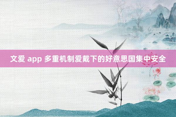 文爱 app 多重机制爱戴下的好意思国集中安全